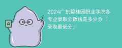 2024广东碧桂园职业学院各专业录取分数线是多少分「录取最低分」