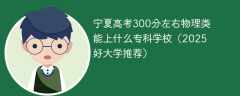 宁夏高考300分左右物理类能上什么专科学校（2025好大学推荐）