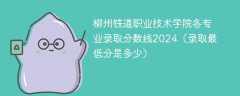 柳州铁道职业技术学院各专业录取分数线2024（录取最低分是多少）