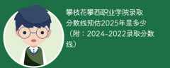 攀枝花攀西职业学院录取分数线预估2025年是多少（附：2024-2022录取分数线）