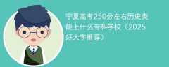 宁夏高考250分左右历史类能上什么专科学校（2025好大学推荐）