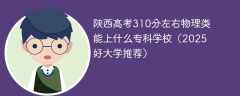 陕西高考310分左右物理类能上什么专科学校（2025好大学推荐）