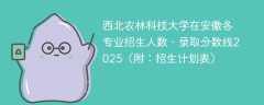 西北农林科技大学在安徽各专业招生人数、录取分数线2025（附：招生计划表）