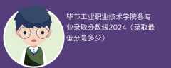 毕节工业职业技术学院各专业录取分数线2024（录取最低分是多少）