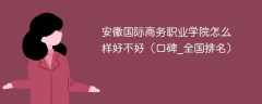 安徽国际商务职业学院怎么样好不好（口碑_全国排名）
