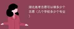 2025湖北高考志愿可以填多少个志愿（几个学校多少个专业）