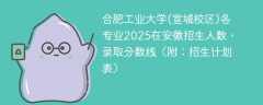 合肥工业大学(宣城校区)各专业2025在安徽招生人数、录取分数线（附：招生计划表）