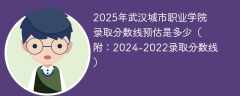 2025年武汉城市职业学院录取分数线预估是多少（附：2024-2022录取分数线）