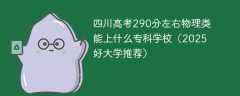 四川高考290分左右物理类能上什么专科学校（2025好大学推荐）