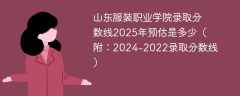 山东服装职业学院录取分数线2025年预估是多少（附：2024-2022录取分数线）