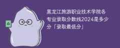 黑龙江旅游职业技术学院各专业录取分数线2024是多少分「录取最低分」