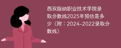 西双版纳职业技术学院录取分数线2025年预估是多少（附：2024-2022录取分数线）