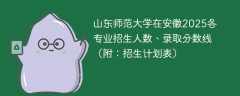 山东师范大学在安徽2025各专业招生人数、录取分数线（附：招生计划表）