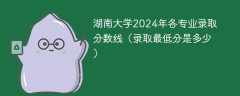 湖南大学2024年各专业录取分数线（录取最低分是多少）