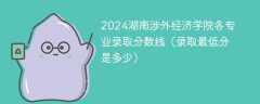 2024湖南涉外经济学院各专业录取分数线（录取最低分是多少）