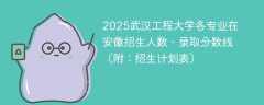 2025武汉工程大学各专业在安徽招生人数、录取分数线（附：招生计划表）