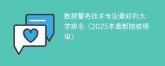 数据警务技术专业最好的大学排名（2025年最新院校榜单）