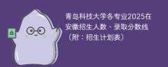 青岛科技大学各专业2025在安徽招生人数、录取分数线（附：招生计划表）