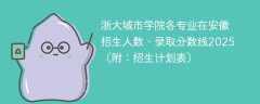 浙大城市学院各专业在安徽招生人数、录取分数线2025（附：招生计划表）