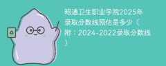 昭通卫生职业学院2025年录取分数线预估是多少（附：2024-2022录取分数线）