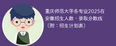 重庆师范大学各专业2025在安徽招生人数、录取分数线（附：招生计划表）