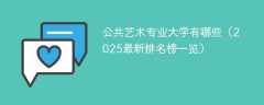 公共艺术专业大学有哪些（2025最新排名榜一览）