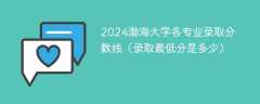 2024渤海大学各专业录取分数线（录取最低分是多少）