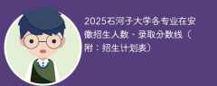 2025石河子大学各专业在安徽招生人数、录取分数线（附：招生计划表）