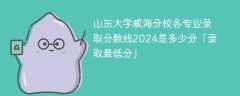山东大学威海分校各专业录取分数线2024是多少分「录取最低分」