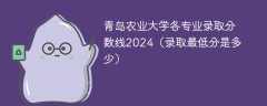 青岛农业大学各专业录取分数线2024（录取最低分是多少）