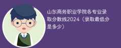 山东商务职业学院各专业录取分数线2024（录取最低分是多少）