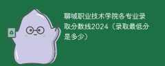 聊城职业技术学院各专业录取分数线2024（录取最低分是多少）