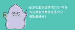 山东铝业职业学院2024年各专业录取分数线是多少分「录取最低分」