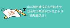 山东城市建设职业学院各专业录取分数线2024是多少分「录取最低分」