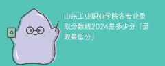 山东工业职业学院各专业录取分数线2024是多少分「录取最低分」