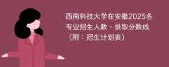 西南科技大学在安徽2025各专业招生人数、录取分数线（附：招生计划表）