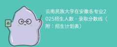 云南民族大学在安徽各专业2025招生人数、录取分数线（附：招生计划表）