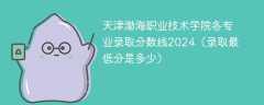天津渤海职业技术学院各专业录取分数线2024（录取最低分是多少）