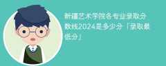 新疆艺术学院各专业录取分数线2024是多少分「录取最低分」