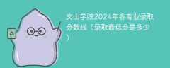 文山学院2024年各专业录取分数线（录取最低分是多少）