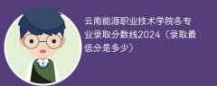 云南能源职业技术学院各专业录取分数线2024（录取最低分是多少）