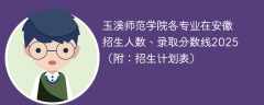 玉溪师范学院各专业在安徽招生人数、录取分数线2025（附：招生计划表）
