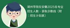 湖州学院在安徽2025各专业招生人数、录取分数线（附：招生计划表）