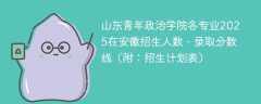 山东青年政治学院各专业2025在安徽招生人数、录取分数线（附：招生计划表）