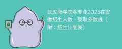 武汉商学院各专业2025在安徽招生人数、录取分数线（附：招生计划表）