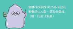金陵科技学院2025各专业在安徽招生人数、录取分数线（附：招生计划表）
