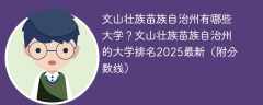 文山壮族苗族自治州有哪些大学？文山壮族苗族自治州的大学排名2025最新（附分数线）