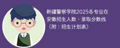 新疆警察学院2025各专业在安徽招生人数、录取分数线（附：招生计划表）
