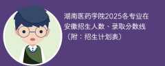 湖南医药学院2025各专业在安徽招生人数、录取分数线（附：招生计划表）