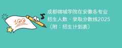 成都锦城学院在安徽各专业招生人数、录取分数线2025（附：招生计划表）